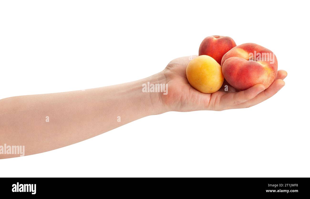 Fruchtmischung im Handweg isoliert auf weiß Stockfoto