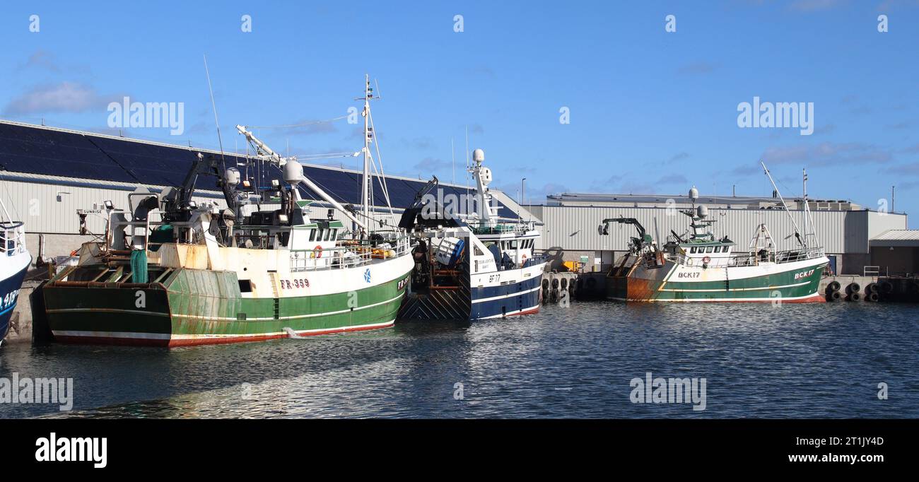 Peterhead Hafen Stockfoto