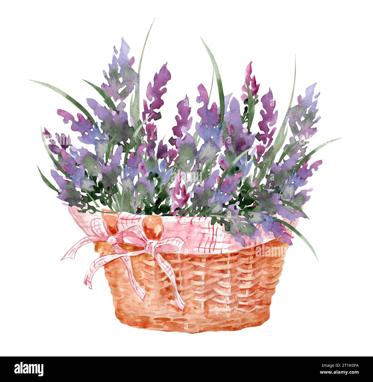 Lavendelstrauß in einem Korb. Hand gezeichnete Aquarellillustration von lila Blumen isoliert auf weißem Hintergrund Stockfoto