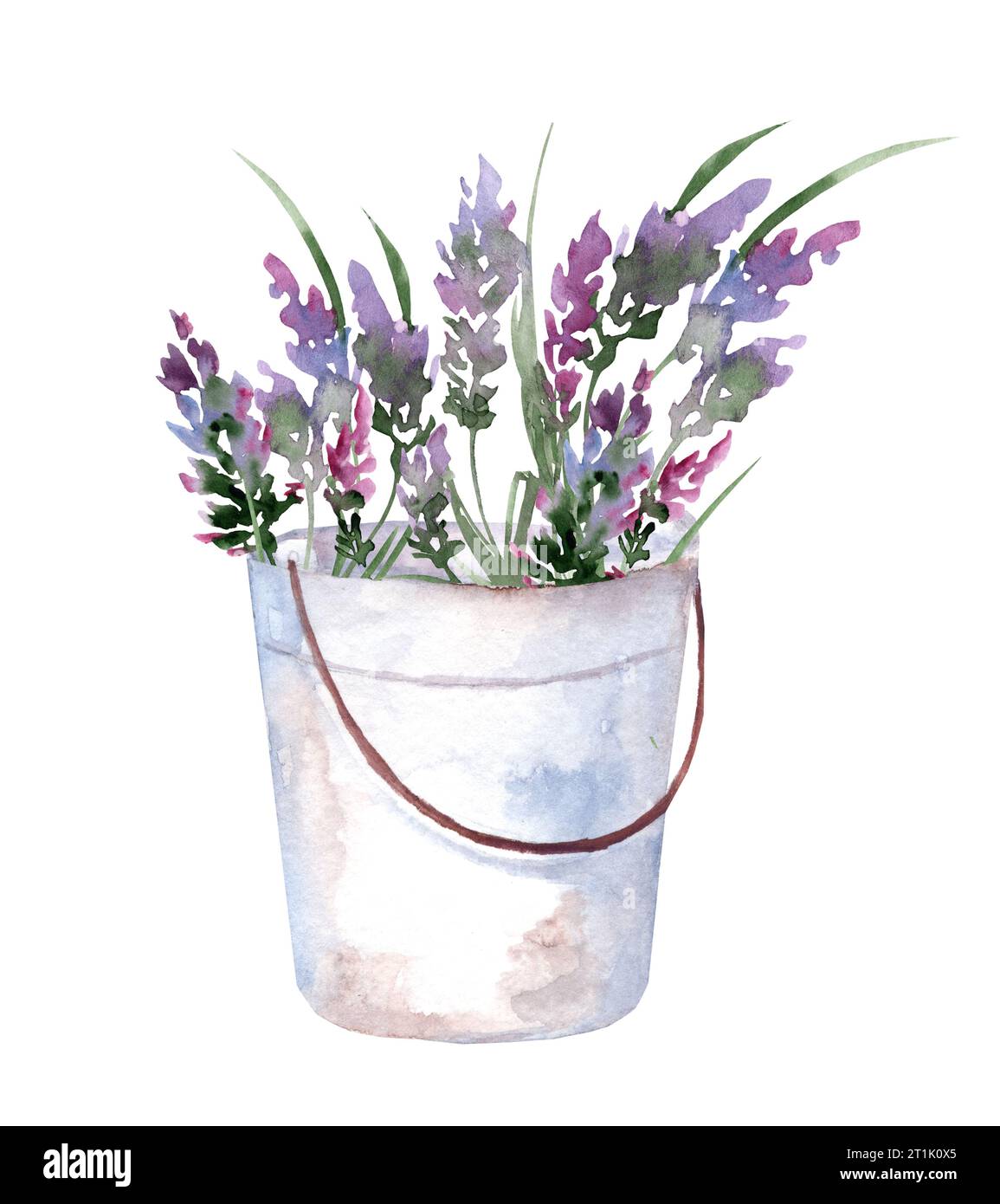 Lavendelstrauß in einem rustikalen Metalleimer. Handgezeichnete Aquarellillustration von lila Blumen in Gartenwerkzeugen für Grußkarten oder Invit Stockfoto