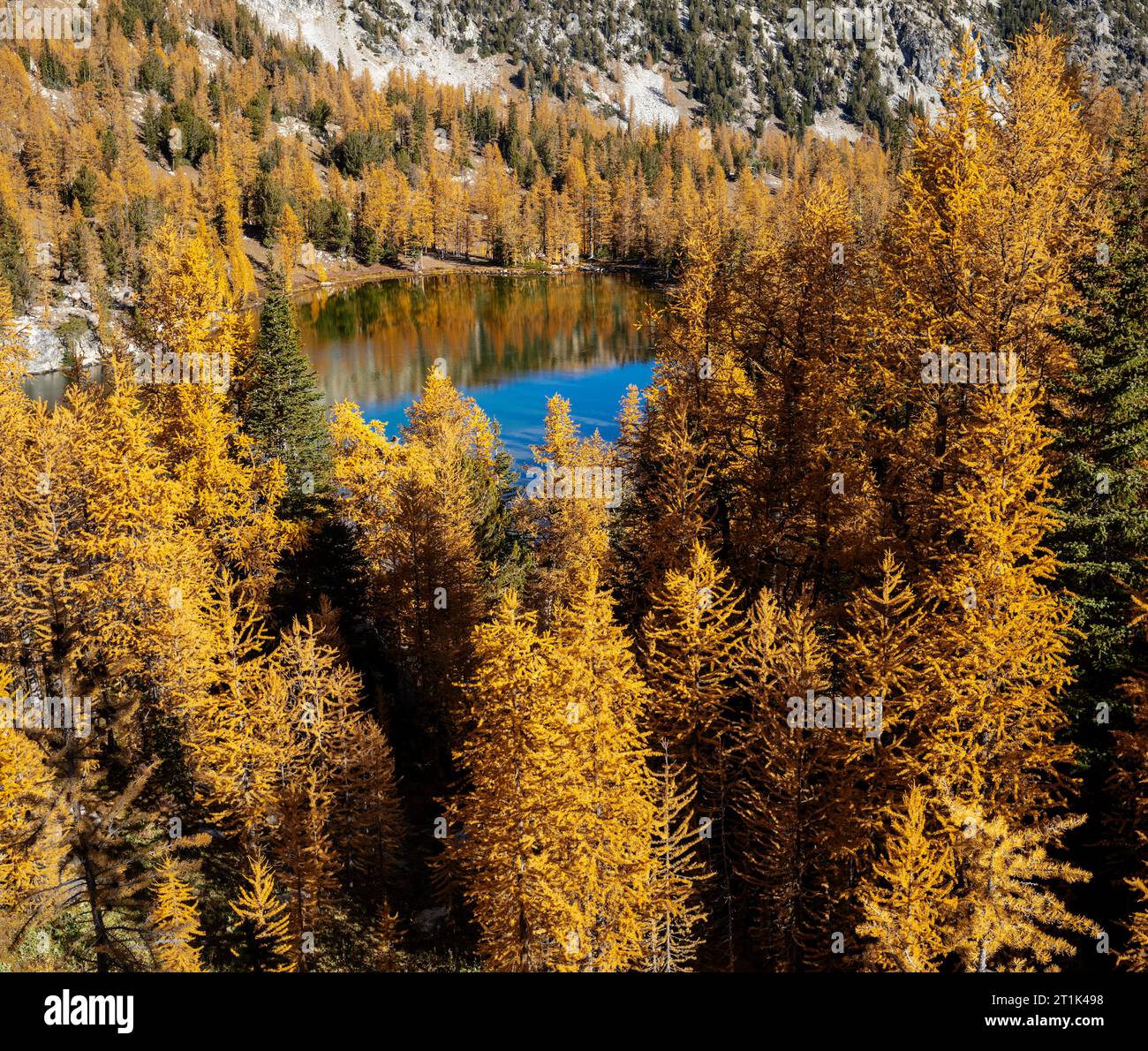 WA24586-00....WASHINGTON - Lärchenbäume und Cooney Lake im Wenatchee Okanogan National Forest. Stockfoto