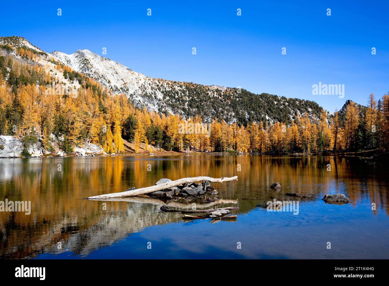 WA24587-00....WASHINGTON - Lärchenbäume und Cooney Lake im Wenatchee Okanogan National Forest. Stockfoto