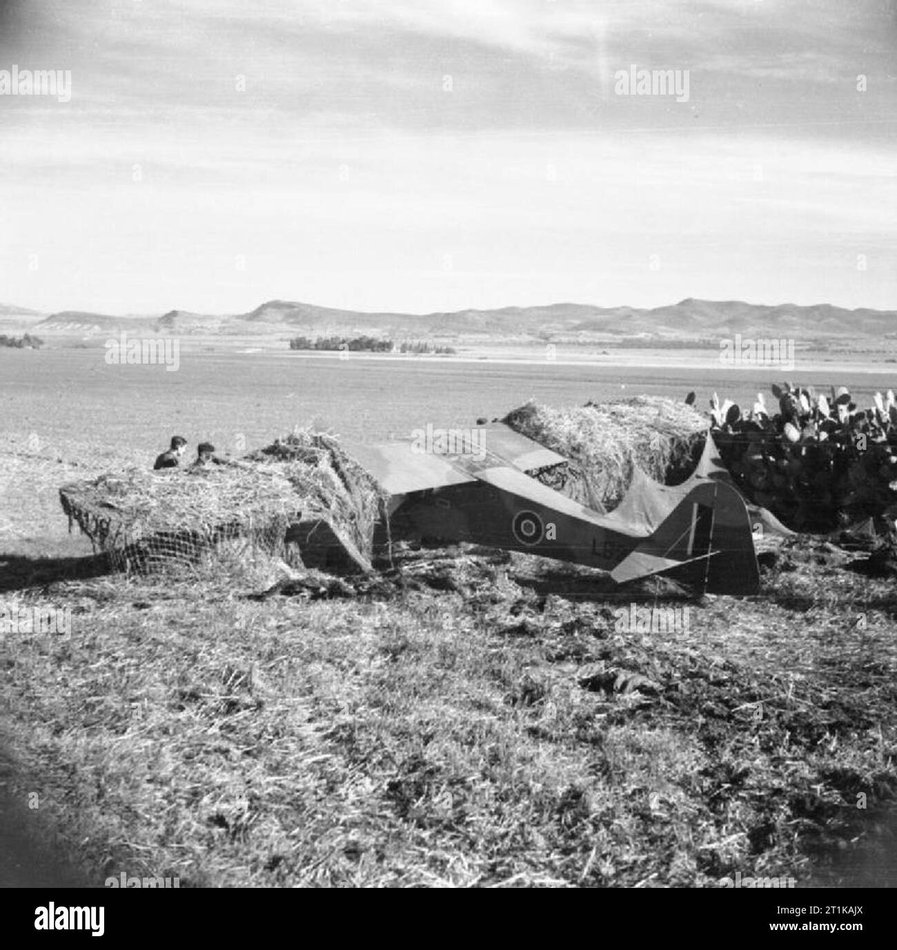 Bou arada Fotos und Bildmaterial in hoher Auflösung Alamy