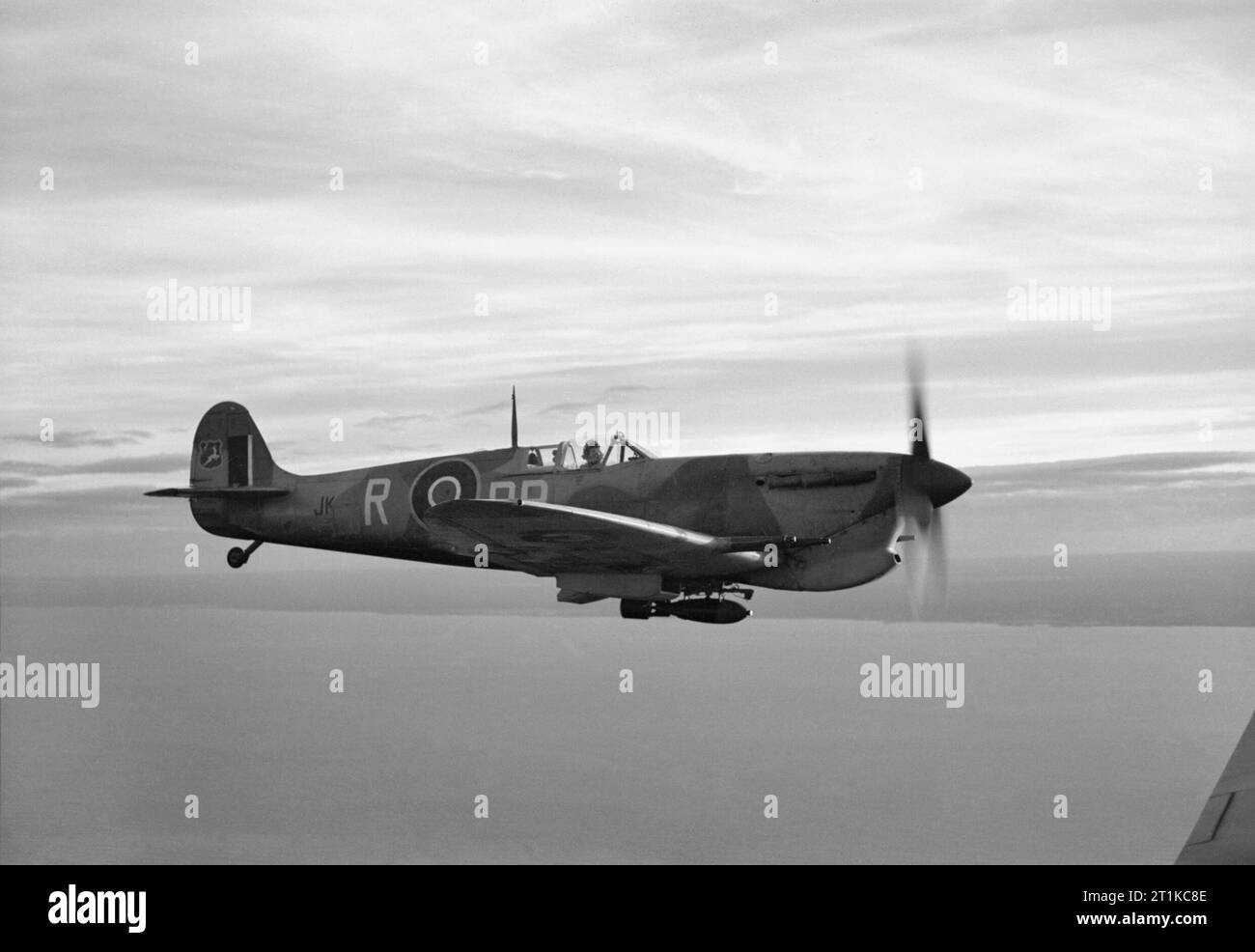 Royal Air Force - Italien, auf dem Balkan und in Südosteuropa, 1942-1945. Supermarine Spitfire Mark VC, JK------- 'DB-R', Nr. 2 Squadron SAAF an Palata, Italien, mit einer 250-lb GP Bombe unter dem Rumpf, im Flug entlang der adriatischen Küste, während einer Bombardierung Mission zu den Sangro Fluß battlefront. Hinweis das Abzeichen der Nr. 7 Flügel SAAF, einem Springen hartebeest auf einem roten Schild, auf dem Ruder des Flugzeugs gemalt. Stockfoto