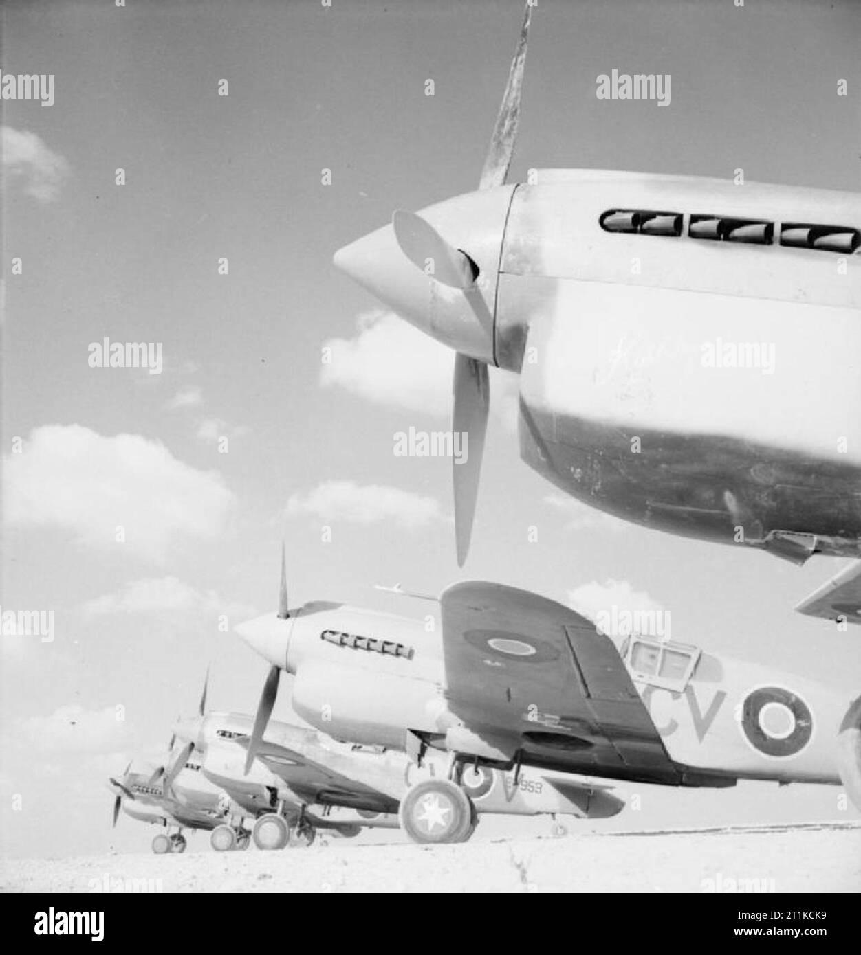 Royal Air Force-Operationen im Nahen Osten und in Afrika, 1940-1943. Curtiss Kittyhawk Mark IAs von Nr. 3 Squadron RAAF aufgereiht bei LG 91, Ägypten. Stockfoto