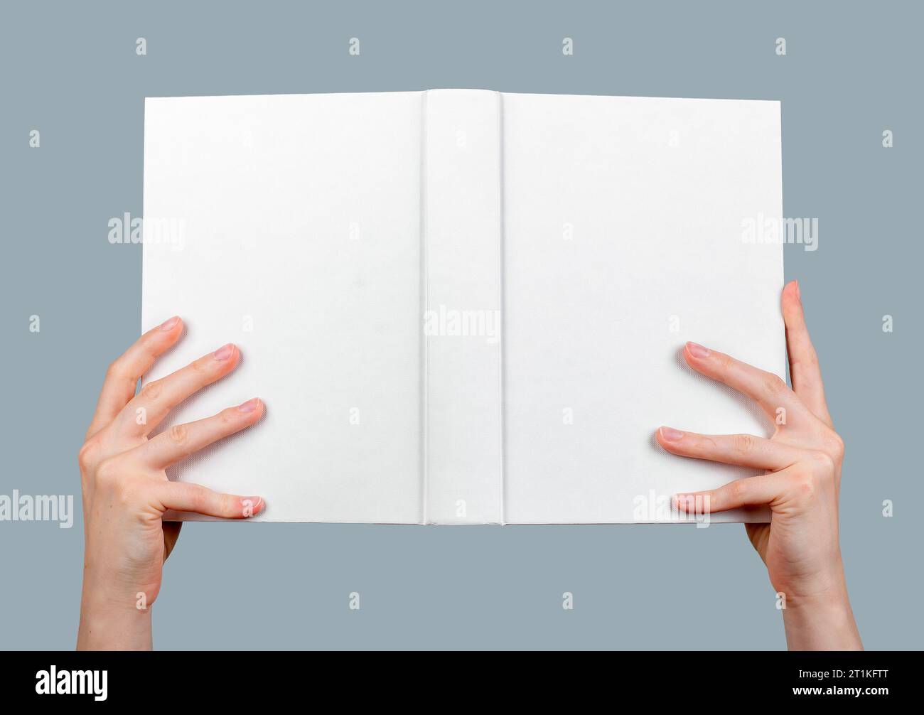 Hand hält das Buch offen, Hardcover, leeres Hardcover Stockfoto