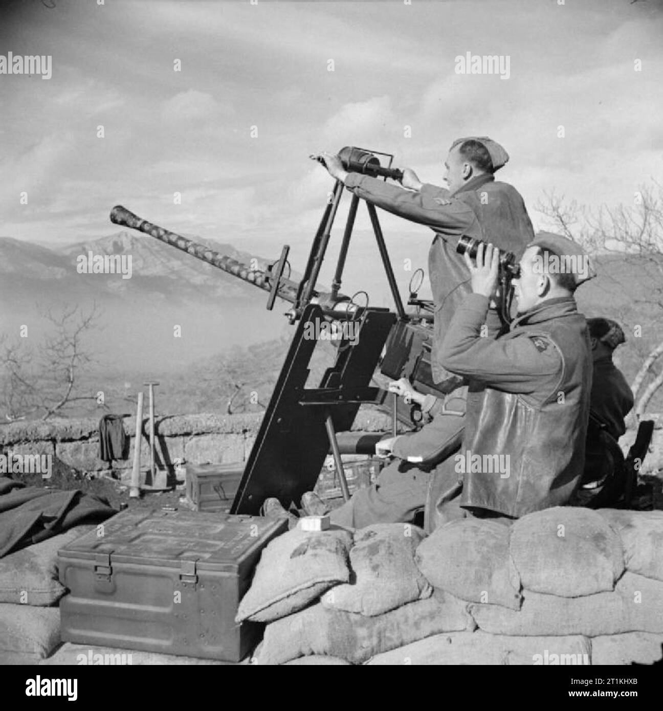 Die britische Armee in Italien 1944 40 mm Bofors gun von 579 Batterie, 115 LAA Regiment, vom 7. Januar 1944. Stockfoto