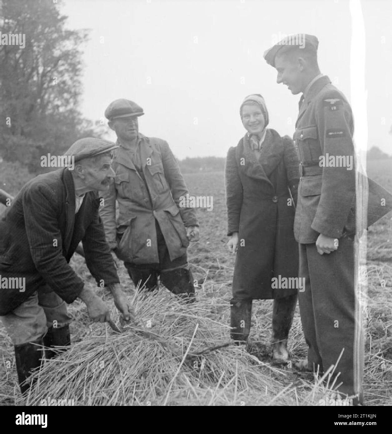 Darby und Joan Krieg Arbeitnehmer - Rentner beitragen, Manuden, Essex, 1942 Harry König (Alter 71) bereitet die Strohballen vorbereitet hat eine Heu rick Thatch, wie andere Mitglieder seiner Familie auf. Zu Recht sind sie Harrys ältester Sohn, Montague, die an der nahe gelegenen Peyton Hall, Harry's Enkelin, die auch auf der Farm Works arbeitet, und Harry's Enkel, Geoffrey, die Ausbildung ist ein Flying Officer Links. Stockfoto