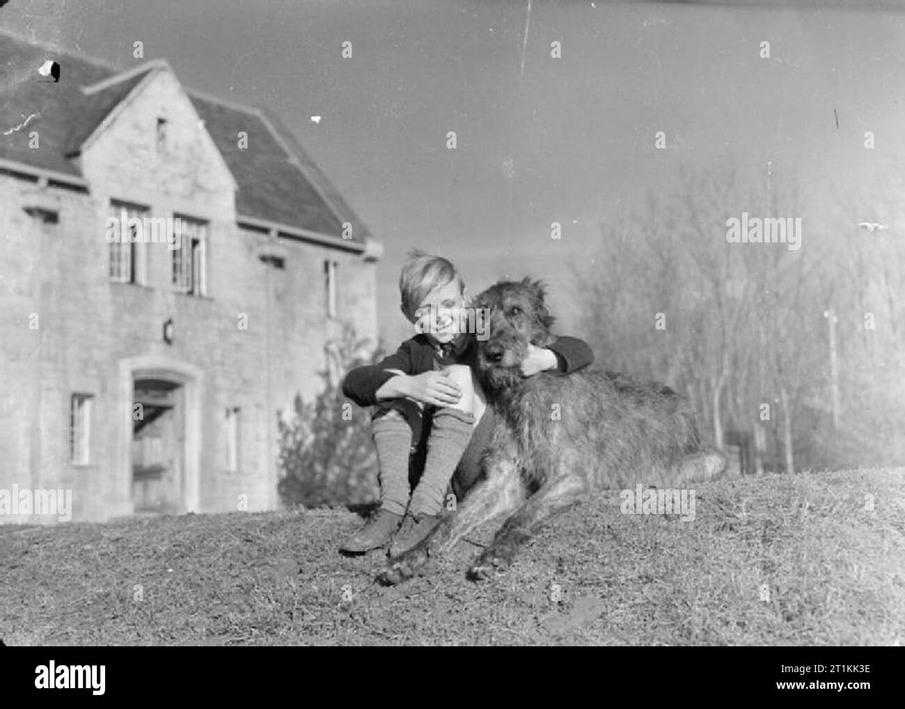 Umsiedler nach Devon und Cornwall, England, 1941 Ted Rickson, ein umsiedler von Kennington in London, sitzt mit seinen Arm um Moira der Irish Wolfhound auf dem Gras außerhalb Dartington Hall in Totnes, South Devon im Jahre 1941. Stockfoto