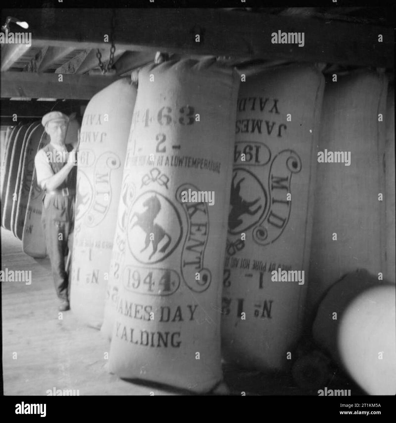 Hopping in Kent-Hop-Kommissionierung in den Taschen Yalding, Kent, England, UK, 1944'', oder Säcke, von getrockneten und komprimierte Hopfen stehen für den Transport zu lesen, die Brauerei in einer Oast House auf eine Hop Farm im Yalding, Kent. Die Säcke sind gestempelt mit Namen "James Day", dem Zeitpunkt (1944) und die Worte, die in der reinen heiße Luft mit einer niedrigen Temperatur' Ried. Stockfoto