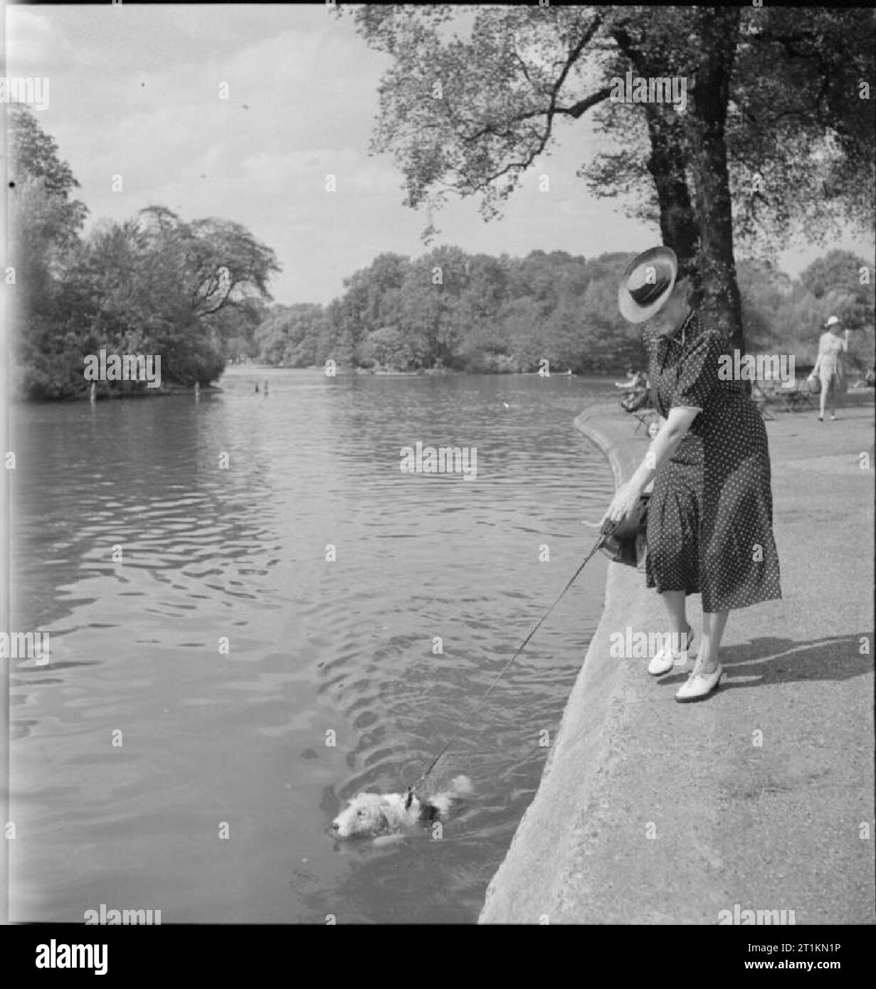 London Parks - Unterhaltung und Entspannung im Herzen der Stadt, London, England, 1943 eine Frau nimmt ihren Hund für einen 'Walk' in den Regent's Park. Der Hund, immer noch auf der Leitung, genießt ein in der Sonne im Regent's Canal schwimmen als Eigentümer Spaziergänge auf den Fußweg entlang, das andere Ende der Leitung. Stockfoto