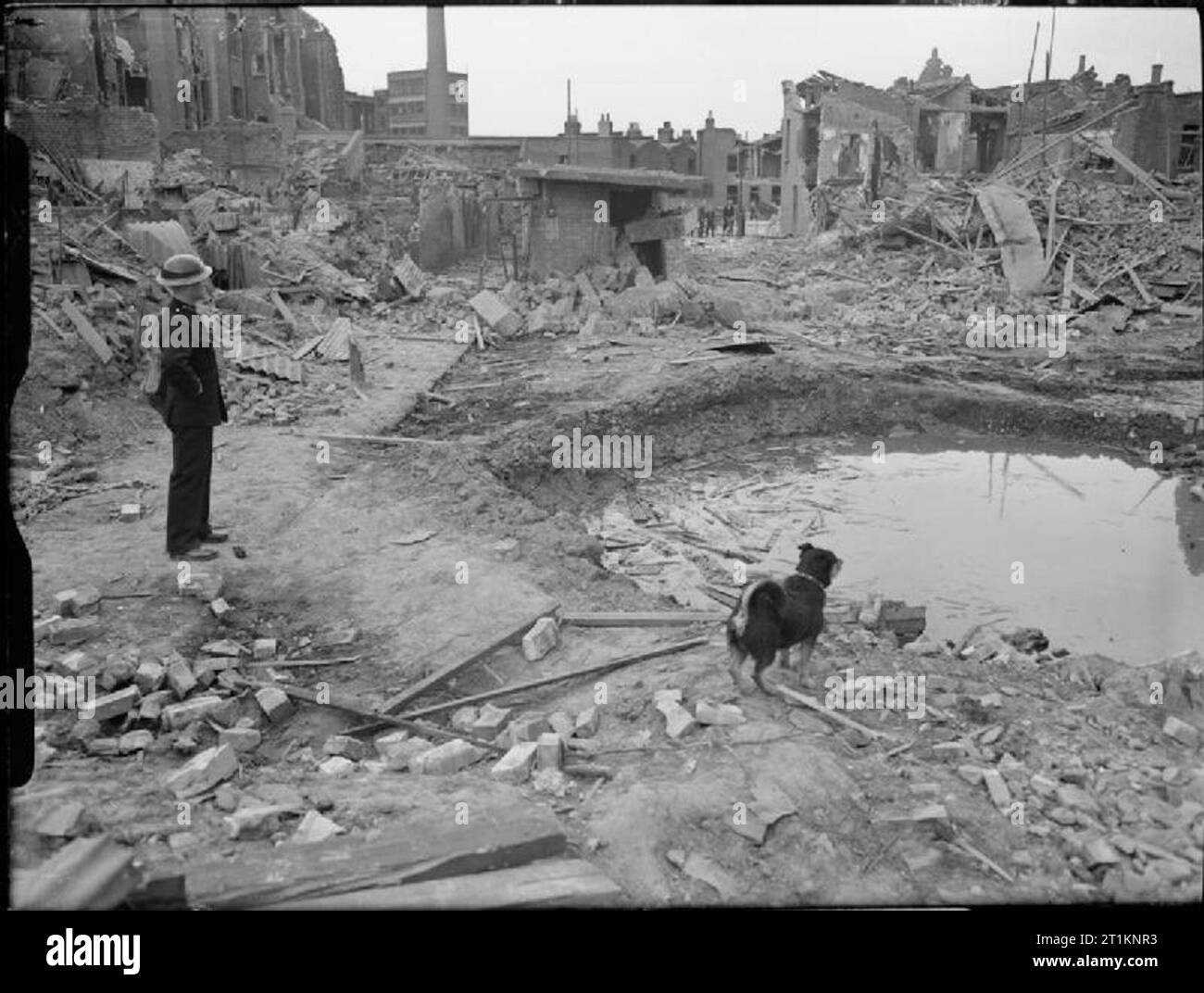 Air Raid Vorsichtsmaßnahmen Hund am Arbeitsplatz in Pappel, London, England, 1941 "Rip" den Hund und eine ARP-Wärter Umfrage die Szene der Verwüstung nach einem Luftangriff im Latham Street, Pappel. Die Bombe Krater ist voll Wasser. Im Hintergrund die Überreste der lokalen Oberfläche Tierheim gesehen werden kann, die zwar leicht beschädigt, noch weitgehend intakt ist. Schutt und Holz kann auch gesehen werden. Stockfoto