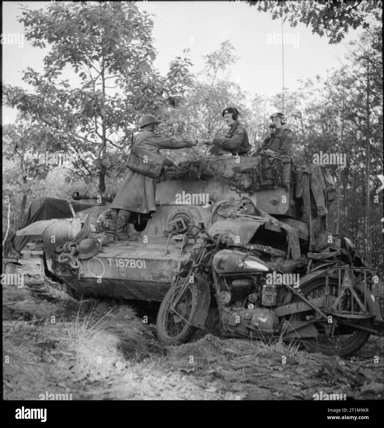 Die britische Armee in Nord-West-Europa 1944-45 Corporal P W Collings, a Royal Corps der Signale Motorradfahrer mit 11. Panzerdivision in Versand, liefert eine Nachricht an ein Cromwell tank Commander, 23. Oktober 1944. Stockfoto