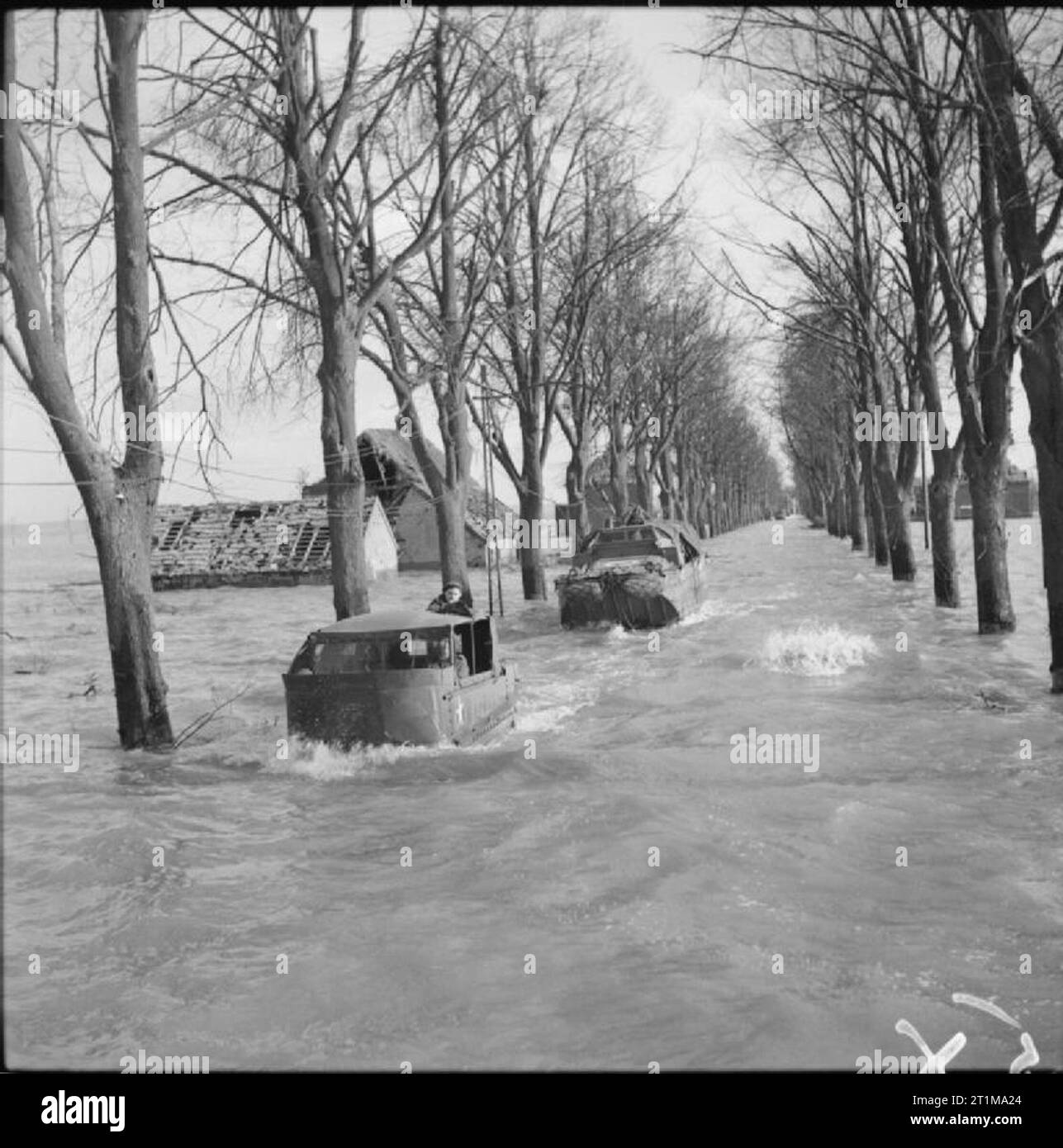Die britische Armee in Nord-West-Europa 1944-45 ein Wiesel verfolgt Cargo Carrier führt ein Dukw entlang eine überflutete Straße in der Nähe von Kranenburg, nach den Deutschen bewusst Talsperren in der Gegend geblasen hatte, 15. Februar 1945. Stockfoto