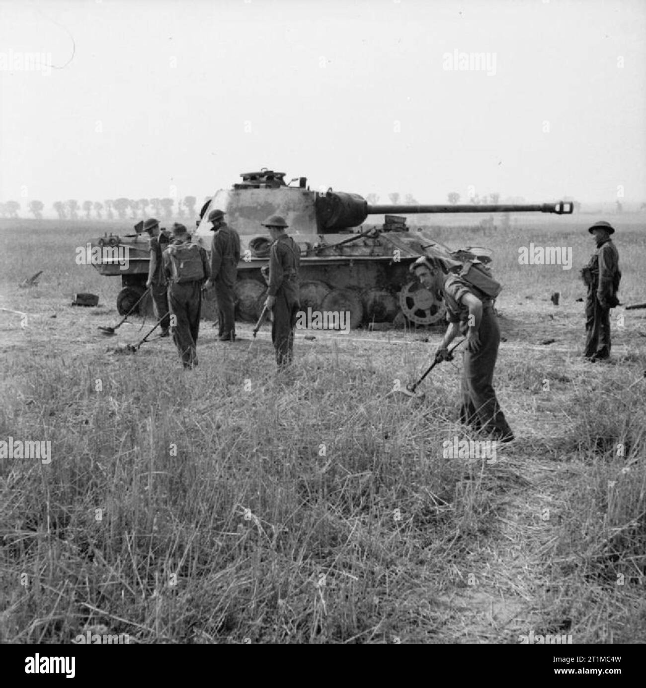 Die britische Armee in der Normandie Kampagne 1944 Royal Engineers Suche nach Minen in der Nähe einer Deutschen Panther tank geklopft, in der Nähe von Villers Bocage, 4 August 1944. Stockfoto