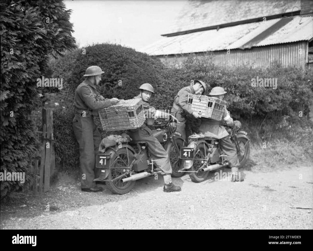 Die britische Armee im Vereinigten Königreich 1939-45 Royal Corps der Signale Motorradfahrer transport Brieftauben in Körben auf dem Rücken geschnallt Versand, Southern Command, 15. August 1940. Stockfoto