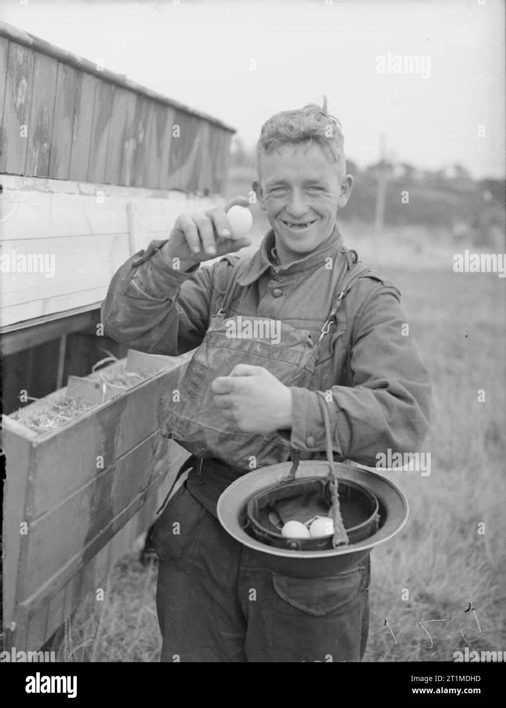 Die britische Armee im Vereinigten Königreich 1939-45 Eier zum Frühstück. Ein Schütze auf eine anti-aircraft Akku bei Nettlestone auf der Insel Wight raids den Hühnerstall, 24. August 1940. Stockfoto