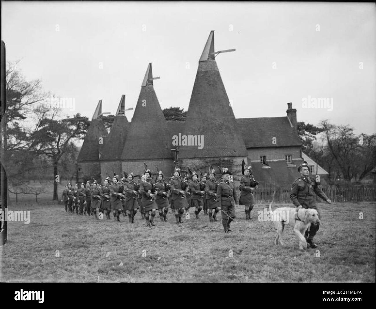Die britische Armee im Vereinigten Königreich 1939-45 die Pipe Band der London Irish Gewehre auf Parade mit ihren Irischen Wolfshund Maskottchen, in der Nähe von Tunbridge Wells, Kent, 31. Dezember 1940. Stockfoto