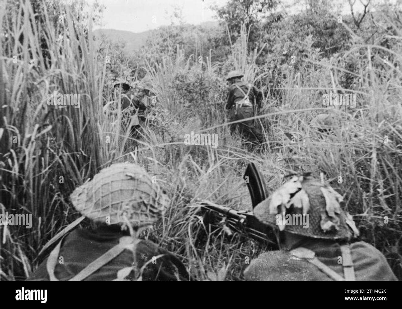 Der Krieg im Fernen Osten - der Burma Campaign 1941-1945 Die Schlacht von Imphal-Kohima März - Juli 1944: Britische Soldaten Suche durch lange Gras für japanischen Scharfschützen während von einem Bren gun Team abgedeckt. Stockfoto