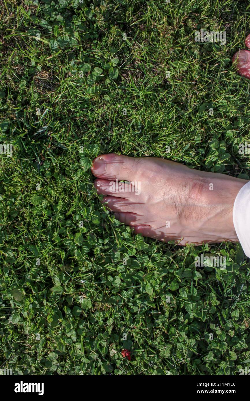 Mein Fuß im Gegensatz zum Gras in meinem Garten Stockfoto