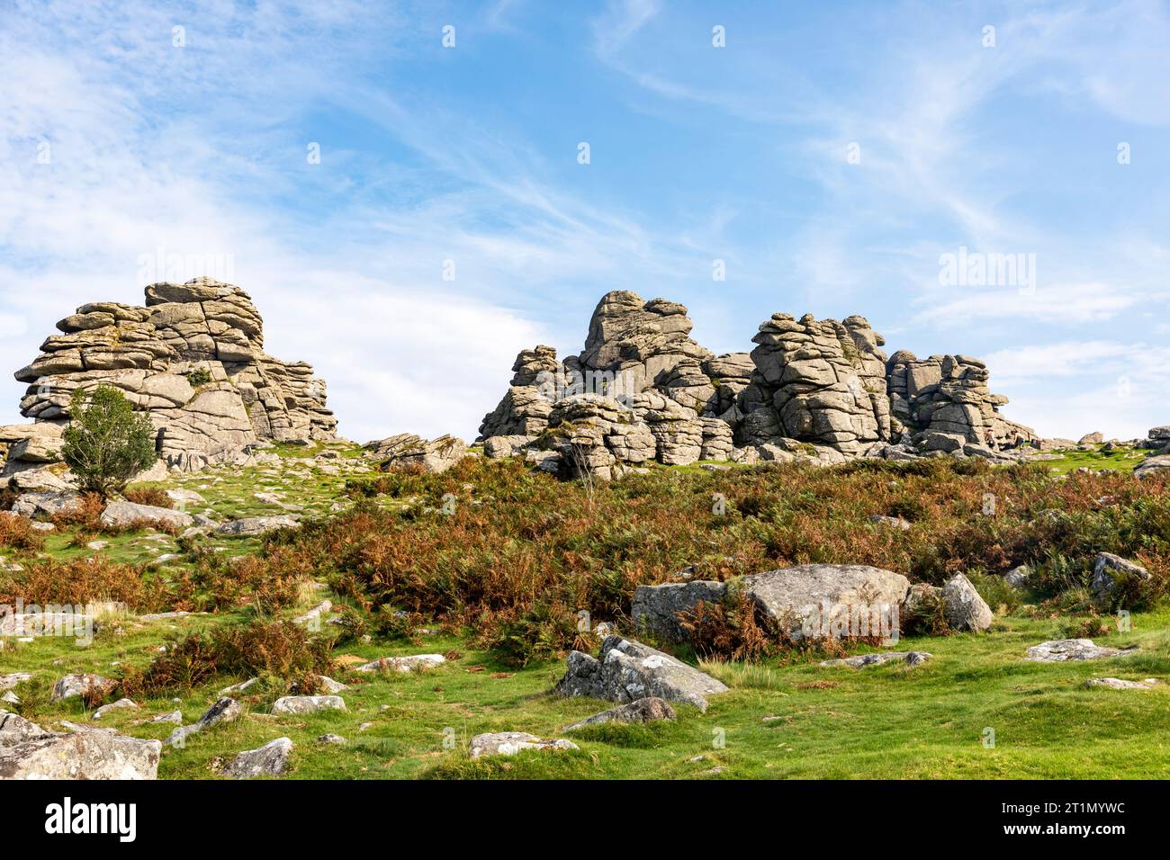 Hound Tor Dartmoor National Park in Devon, Felsformation aus Granit, von der angenommen wurde, dass sie das Buch Hound of the Baskervilles inspirieren sollte, England, Großbritannien, September 2023 Stockfoto