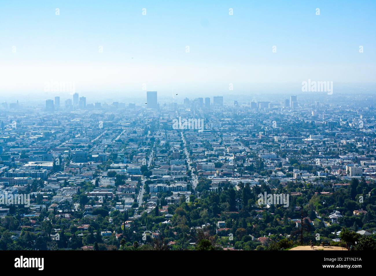 Die Skyline von Los Angeles, Kalifornien an einem trüben Tag Stockfoto