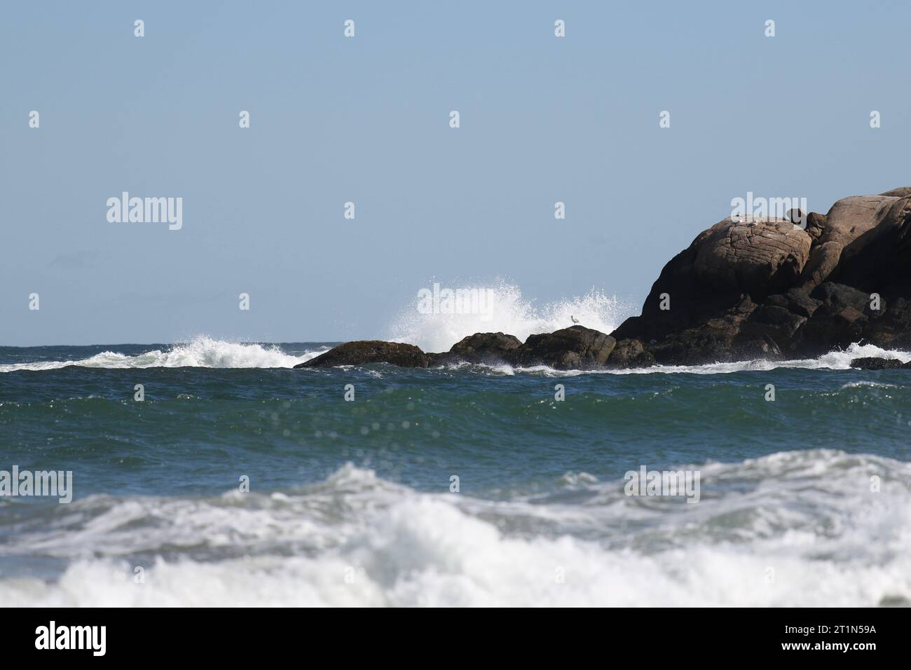 Wellen brechen über Felsen am Good Harbor Beach in Gloucester an der North Shore, Massachusetts Stockfoto