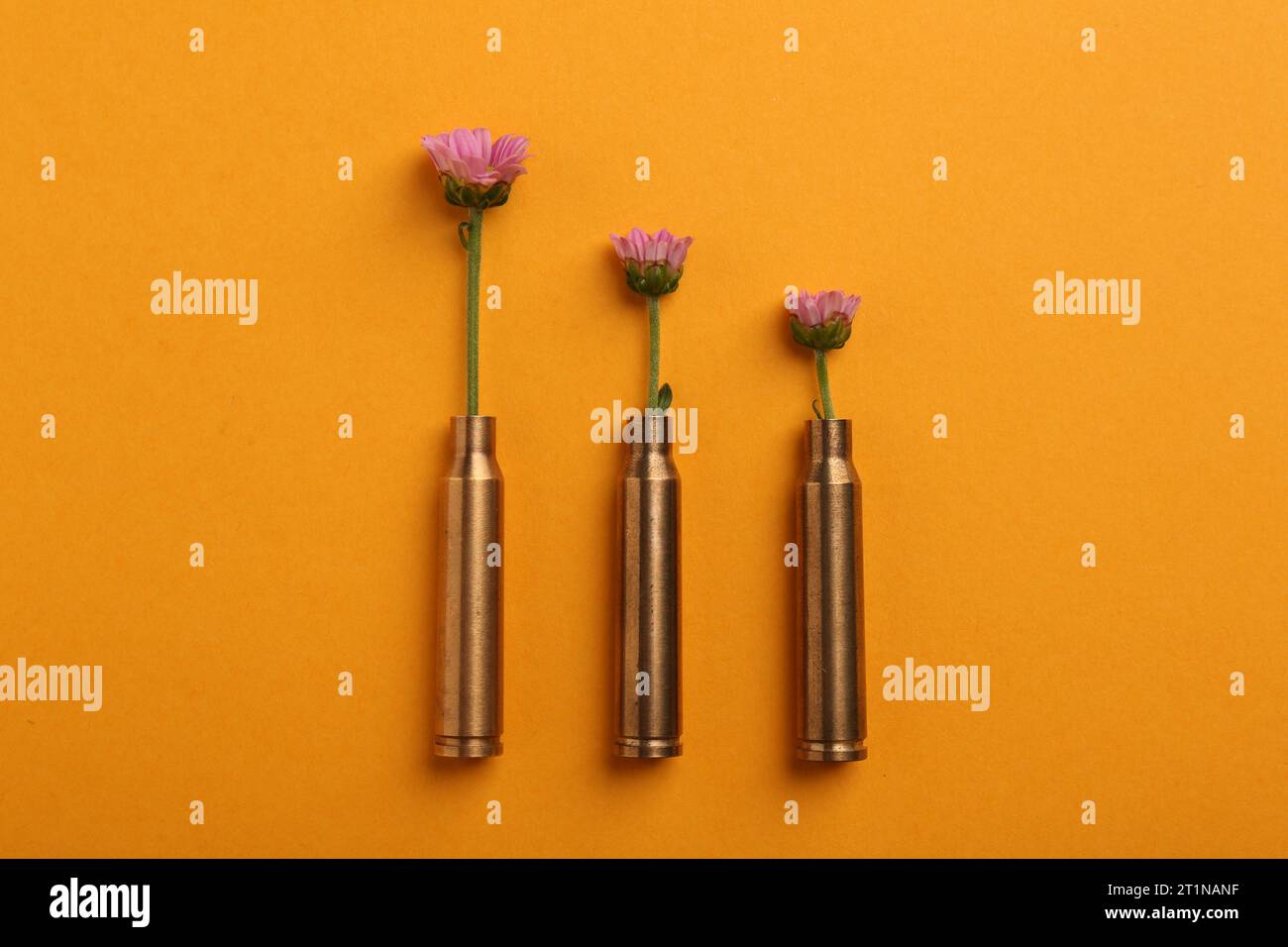 Schöne Blumen in Kugeln auf orangem Hintergrund, flach Stockfoto