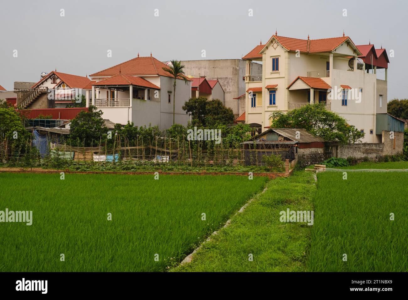 Long Khe Village, Vietnam, Provinz Bac Ninh. Häuser der Mittelklasse. Stockfoto