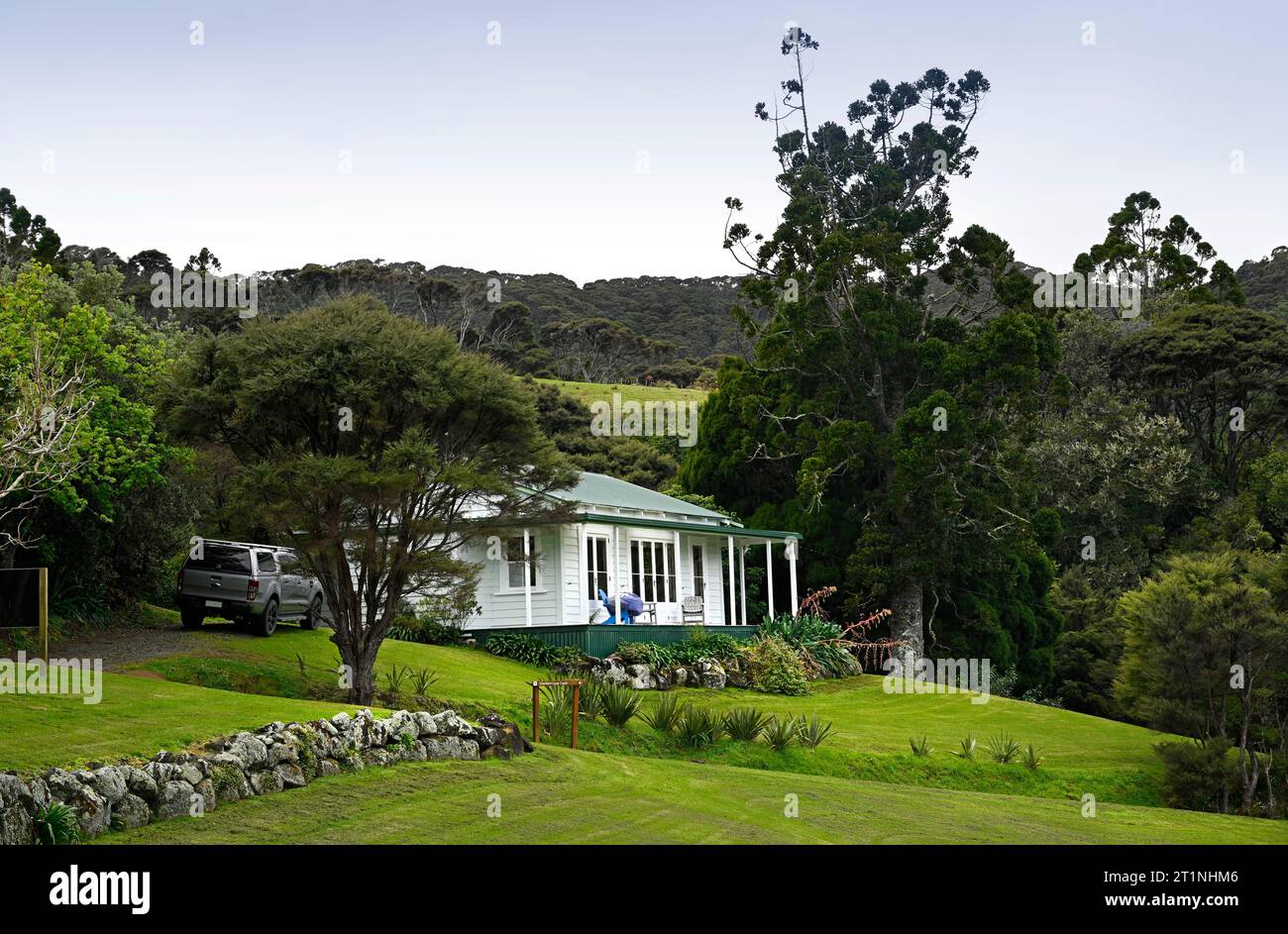 Traditionelles weißes Haus aus Holz und alter Kauri-Baum in Glenfern, Great Barrier Island, Neuseeland Stockfoto