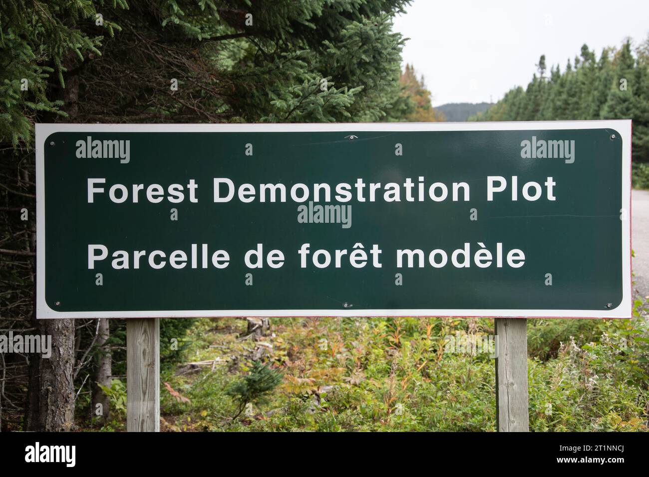 Schild für die Waldvorführung im Terra Nova National Park in Glovertown, Neufundland und Labrador, Kanada Stockfoto