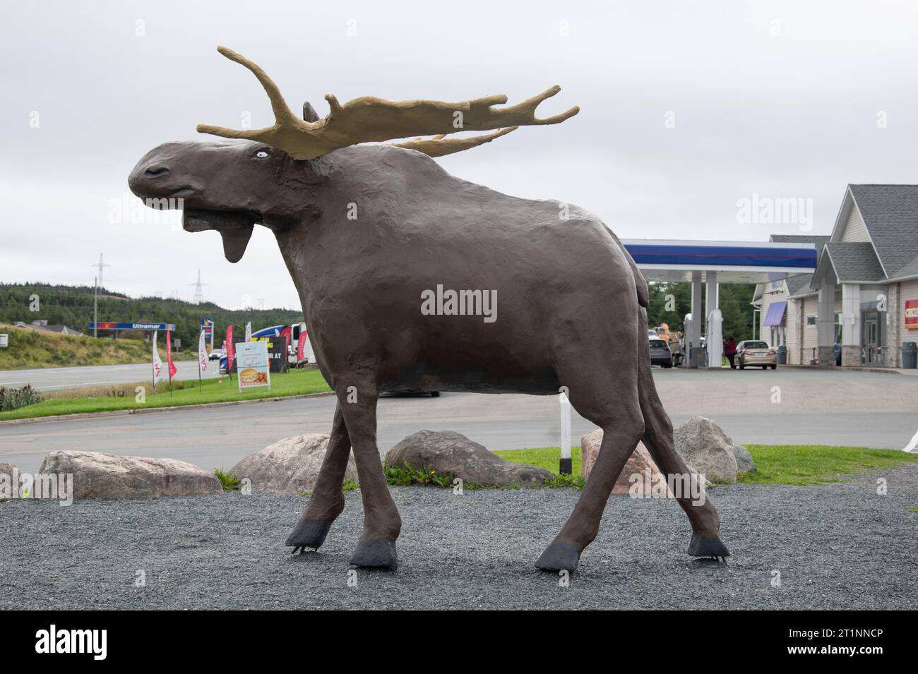 Skulptur von Morris dem Elch am Irving Oil Big Stop in Goobies, Neufundland & Labrador, Kanada Stockfoto