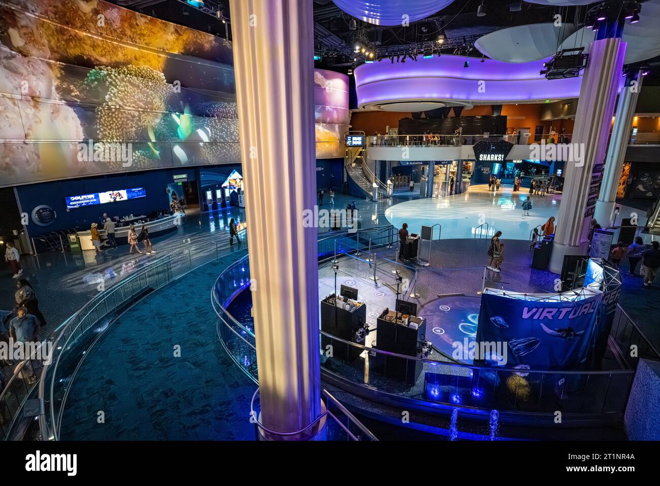 Central plaza des Georgia Aquarium, eines der größten Aquarien der Vereinigten Staaten, im Zentrum von Atlanta, Georgia. (USA) Stockfoto