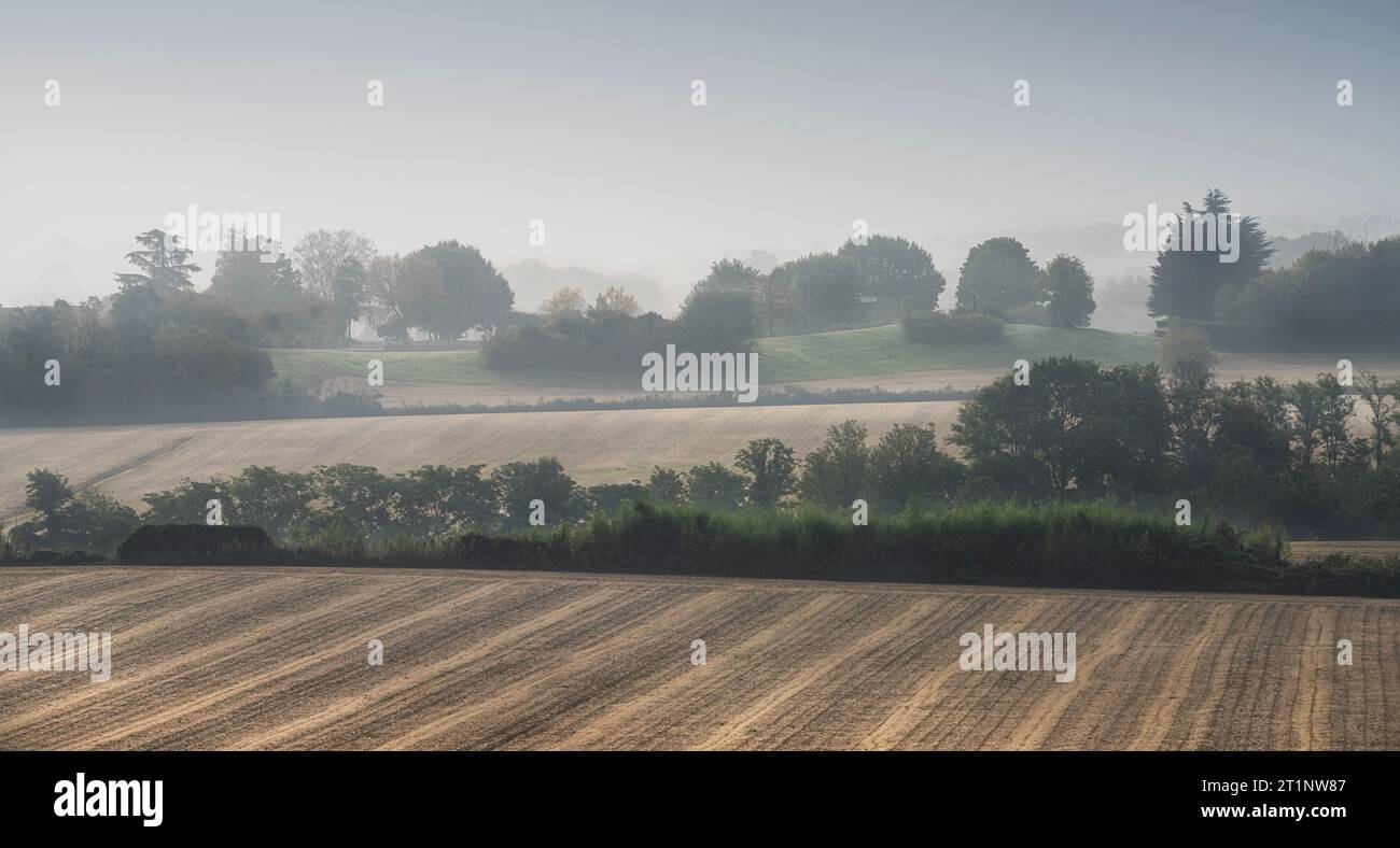 vista panoramica della campagna con la luce del matino im Herbst Stockfoto