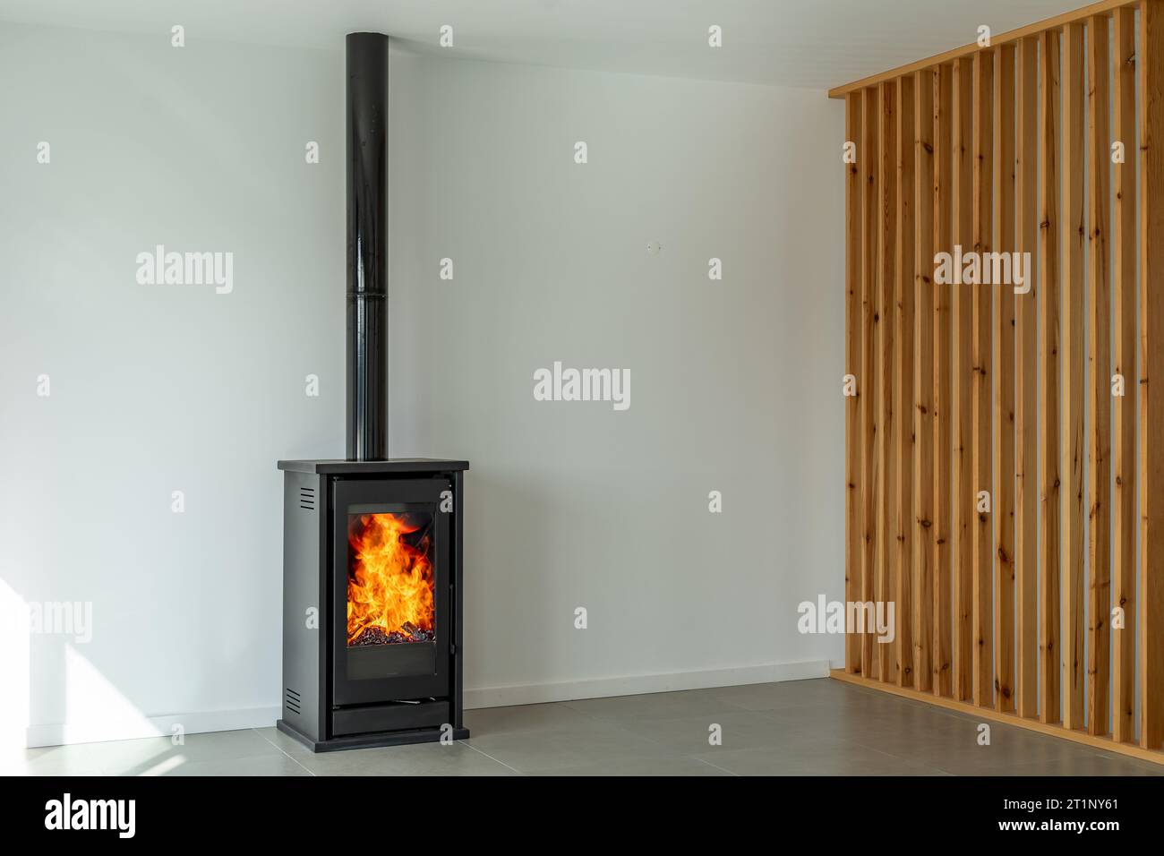 Kamin im Haus modernes Wohnzimmer. Gemütliches Wohnzimmer mit Holzofen mit brennender Flamme hinter einer Glastür Stockfoto
