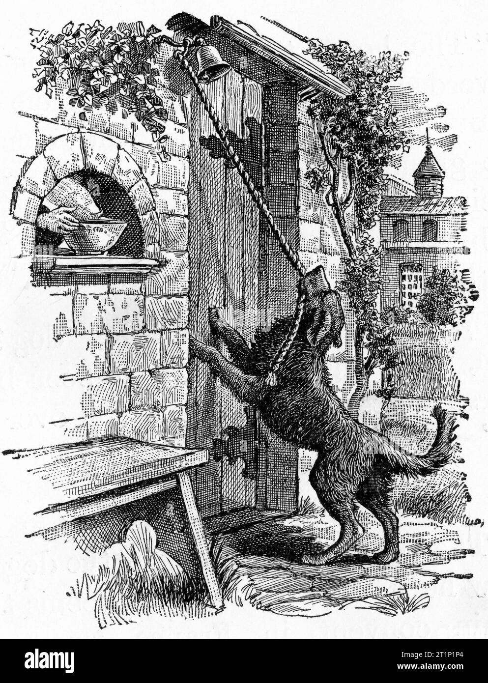 Gravur eines Hundes, der eine Glocke läutet, während jemand eine Schüssel in ein Fenster stellt, um 1880 Stockfoto