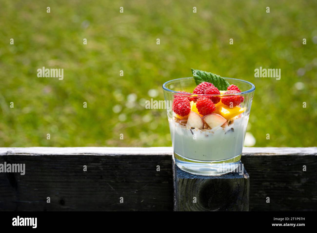 Appetitanregender gesunder Fruchtjoghurt im Glas auf Holzzaun mit grüner Wiese im Hintergrund Stockfoto