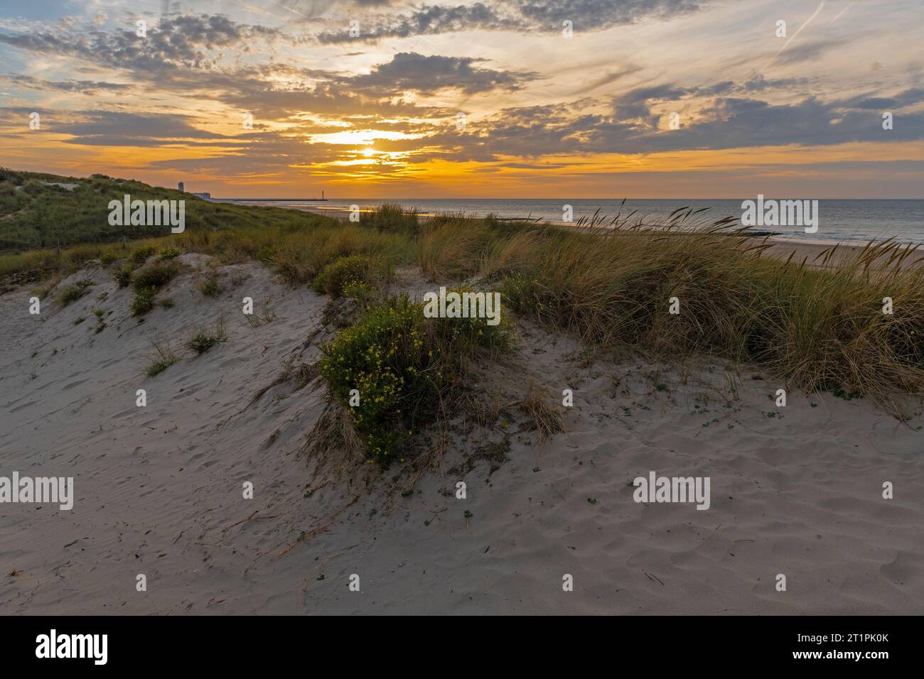 Sonnenuntergang in den Sanddünen mit Nordseestrand von Bredene, Westflandern, Belgien. Stockfoto