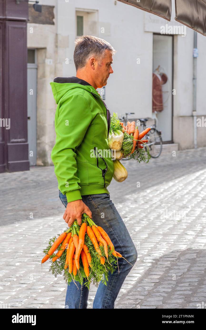Mann mit mehreren Karotten und Sellerie - Loches, Indre-et-Loire (37), Frankreich. Stockfoto