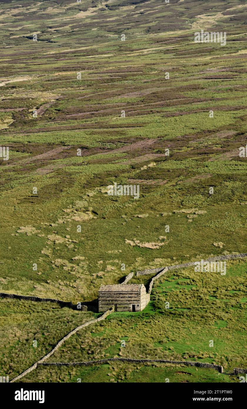 Eine abgelegene Feldscheune in Swaledale, die an einer steilen Talseite liegt. Stockfoto