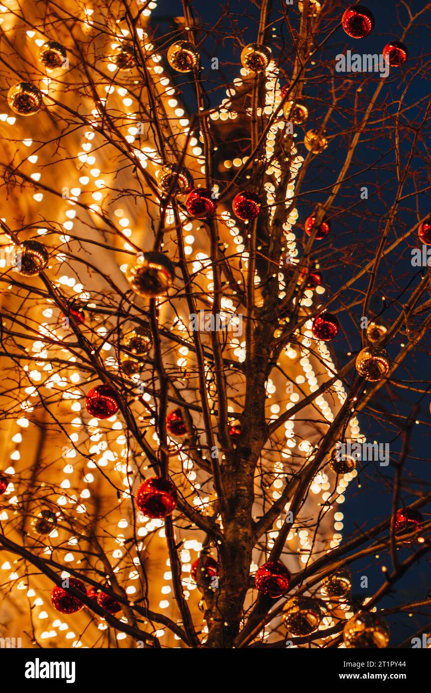 Goldenes Gebäude und Weihnachtsbaumzweige, die mit Weihnachtskugeln dekoriert sind, in festlicher abendlicher magischer Atmosphäre. Außenansicht des GUM, Moskauer Zentrum Stockfoto