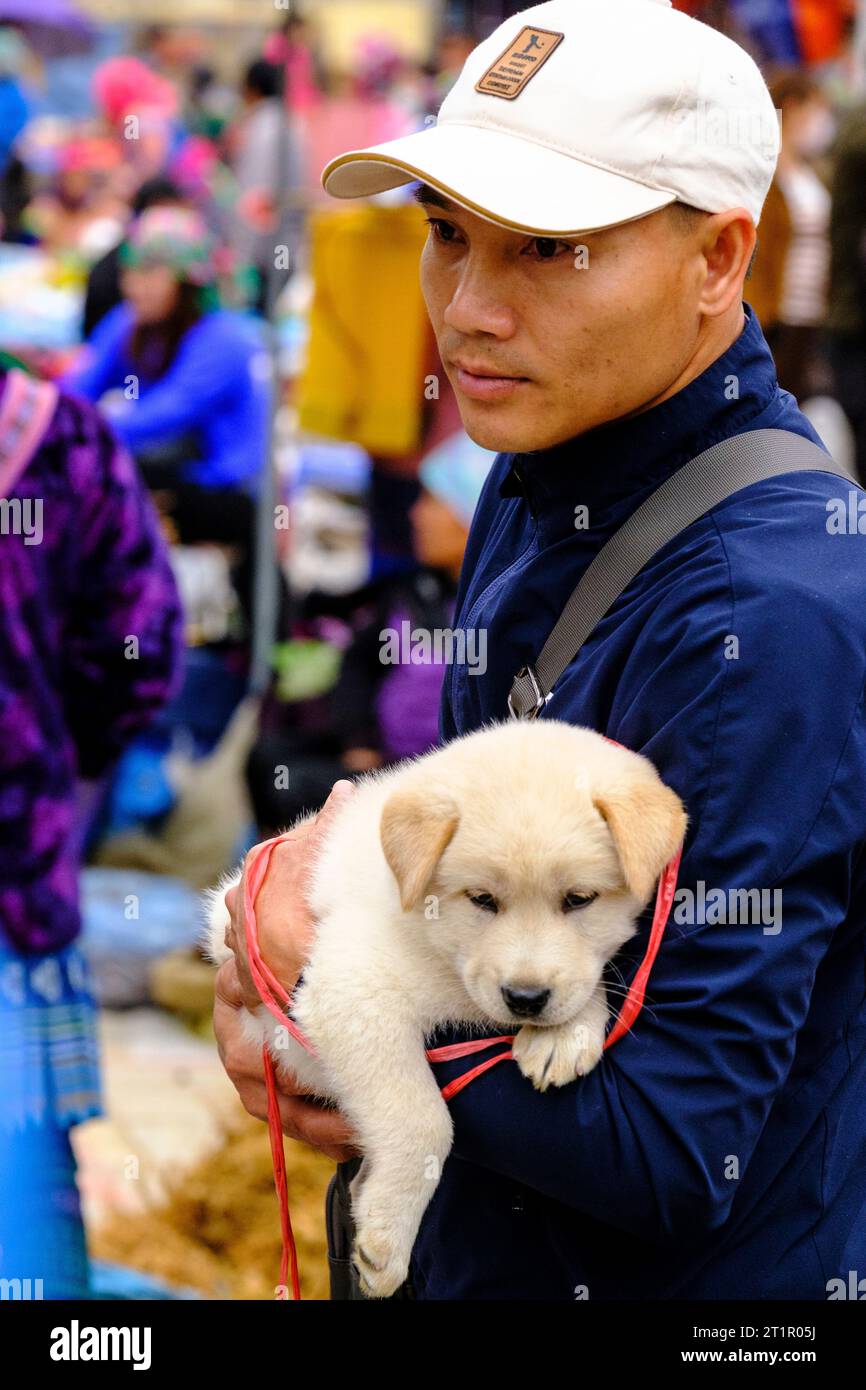Bac Ha, Vietnam. Sonntagsszene. Junger Hmong-Mann mit einem Welpen. Provinz Lao Cai. Stockfoto
