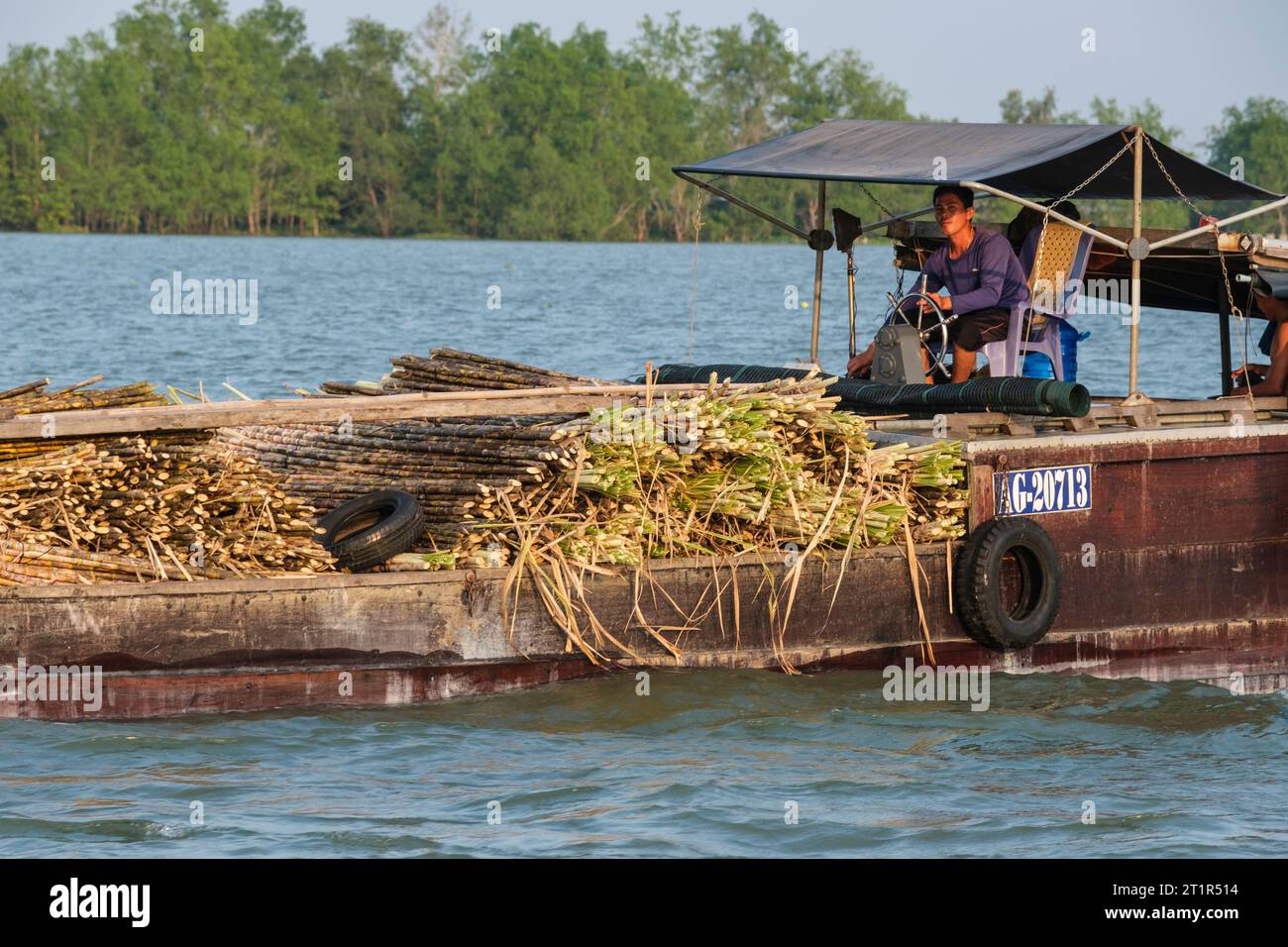 Transport von Zuckerrohr auf dem Mekong-Fluss, Vietnam. Stockfoto