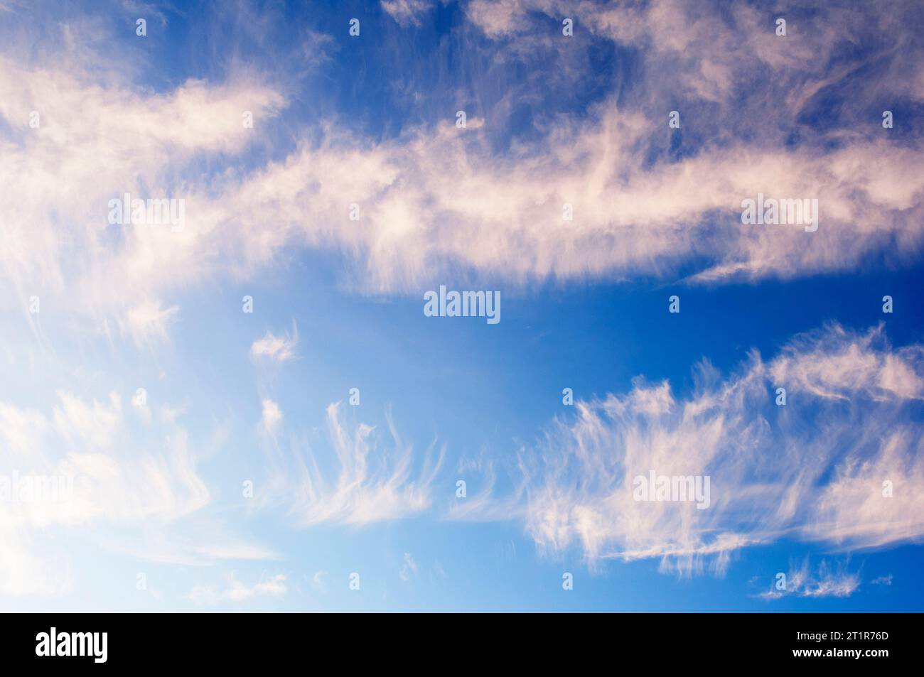 Hohe Zirruswolken im Abendlicht - John Gollop Stockfoto