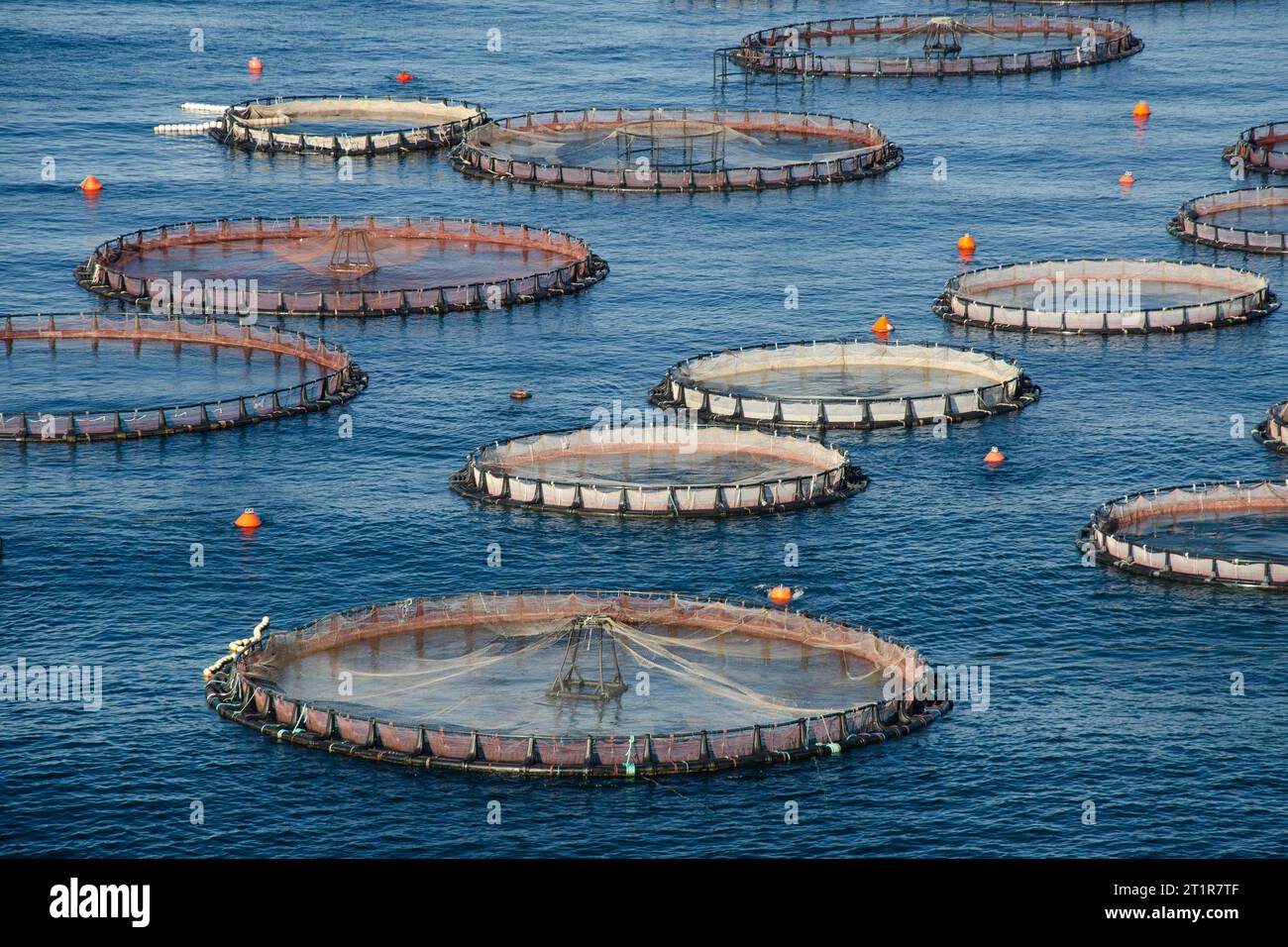 Käfige für den Fischzuchtbetrieb. Schwimmender Bau einer offenen Fischzucht im Mittelmeer. Nahaufnahme. Stockfoto