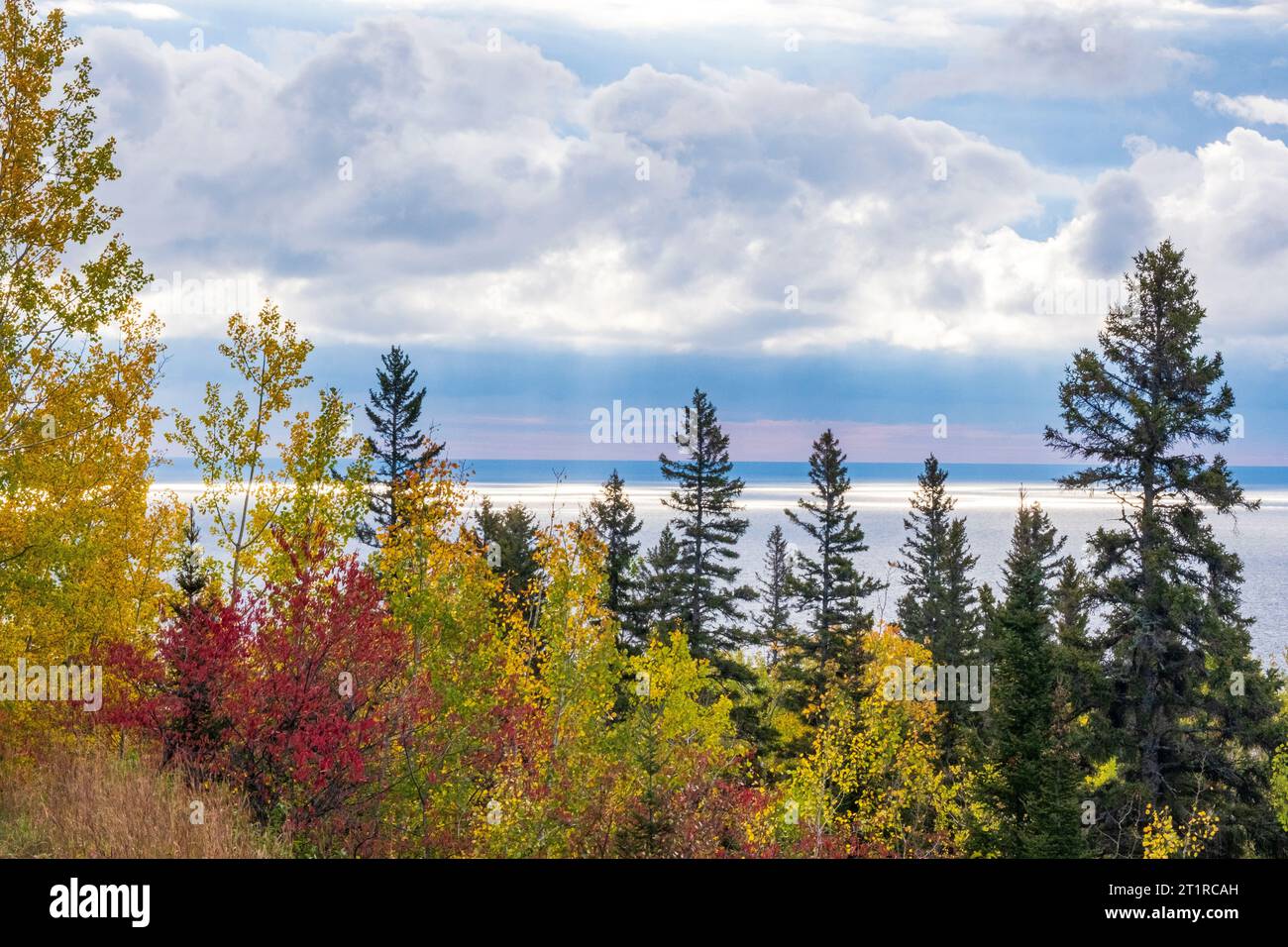 Herbstfarben vom Pincushion Mountain Overlook über Lake Superior, Grand Marais, Minnesota, USA Stockfoto