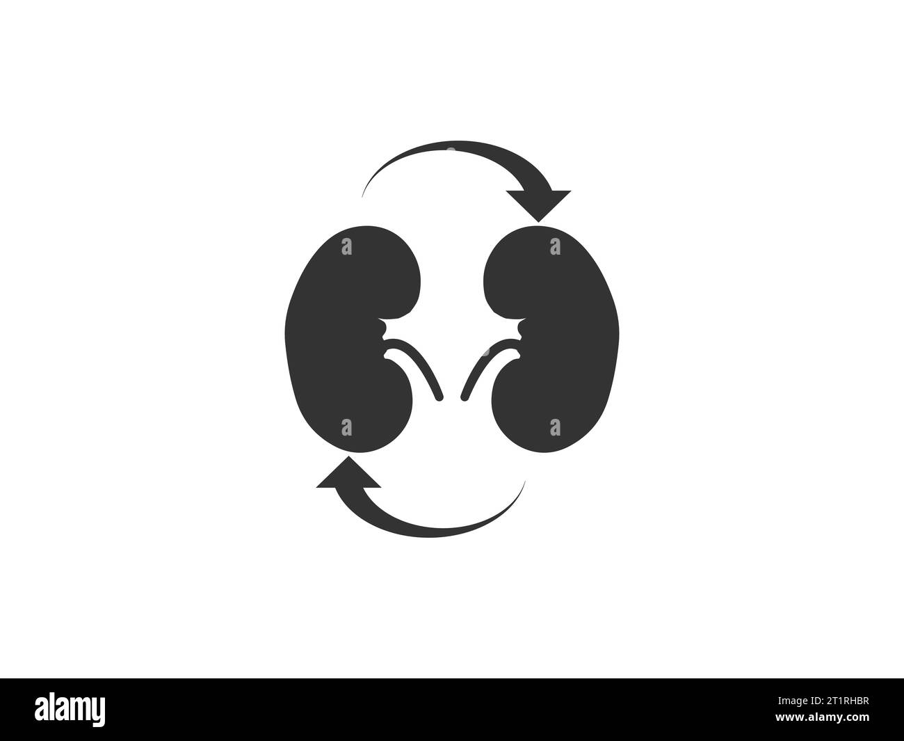 Symbol für Transplantationsniere. Vektorillustration. Stock Vektor