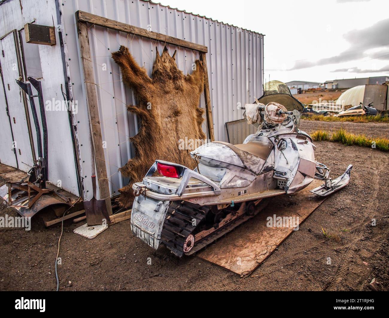 Eine Schneemaschine parkte vor einem braunen Bären (Grizzly), der sich über einen Rahmen in Atqasuk im Norden Alaskas erstreckte. Stockfoto