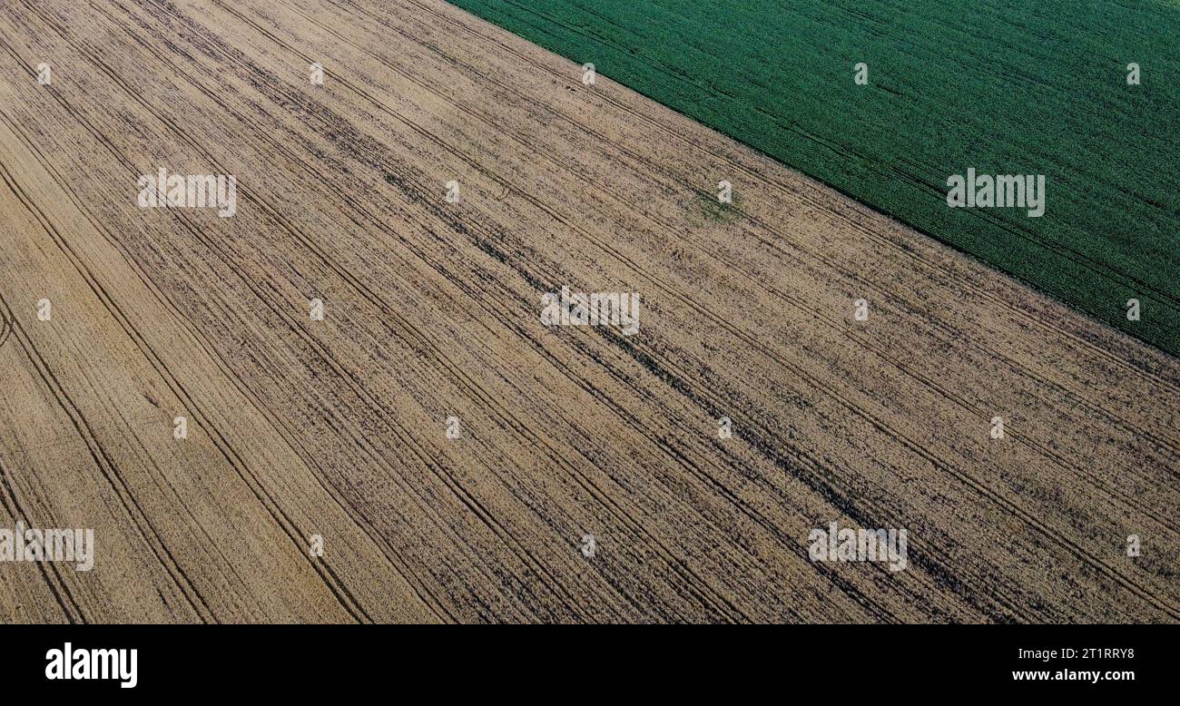 Landwirtschaftliche Felder, Draufsicht. Bewirtschaftete Felder, Blick aus der Vogelperspektive auf die Landschaft. Stockfoto