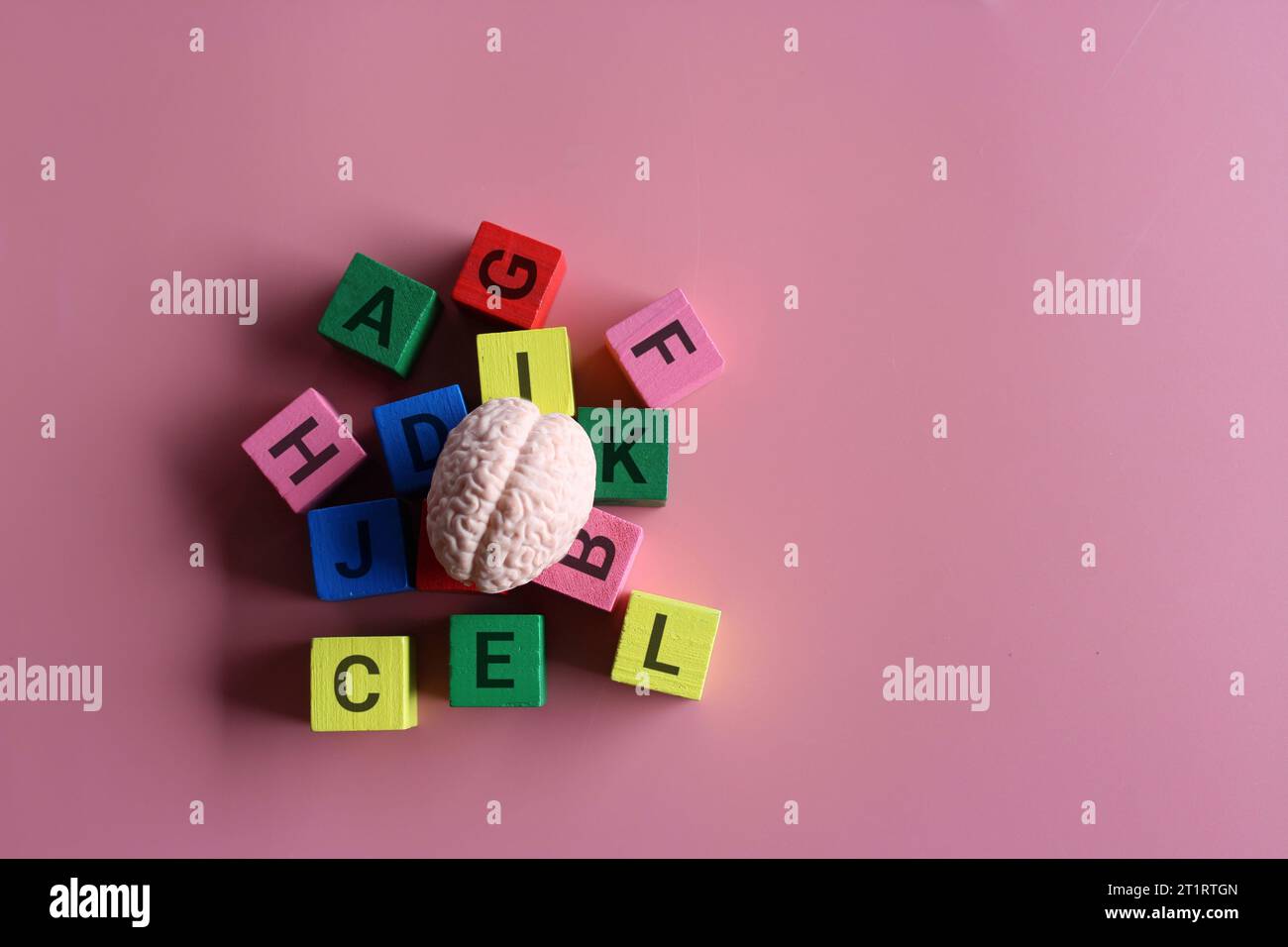 Menschliches Gehirn umgeben von Alphabetblöcken auf rosa Hintergrund mit Kopierraum. Montessori-Bildungs- und Alphabetisierungskonzept. Stockfoto